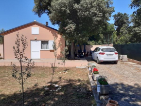 LAVE II cozy house, Liznjan
